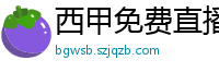 西甲免费直播观看